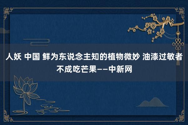人妖 中国 鲜为东说念主知的植物微妙 油漆过敏者不成吃芒果——中新网