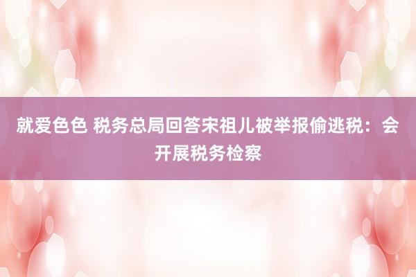 就爱色色 税务总局回答宋祖儿被举报偷逃税：会开展税务检察
