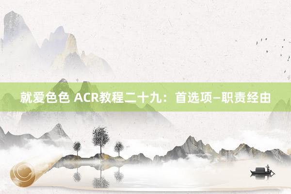就爱色色 ACR教程二十九：首选项—职责经由