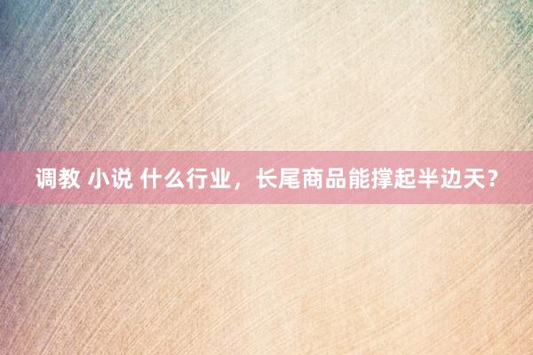 调教 小说 什么行业，长尾商品能撑起半边天？