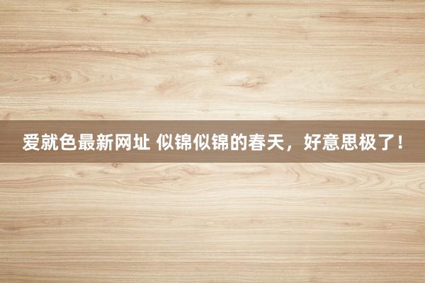 爱就色最新网址 似锦似锦的春天，好意思极了！